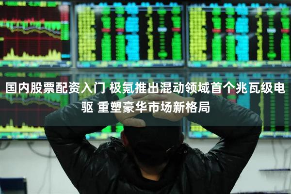 国内股票配资入门 极氪推出混动领域首个兆瓦级电驱 重塑豪华市场新格局