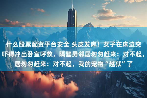 什么股票配资平台安全 头皮发麻！女子在床边突然摸到金黄色长蛇，吓得冲出卧室呼救，隔壁男邻居匆匆赶来：对不起，我的宠物“越狱”了