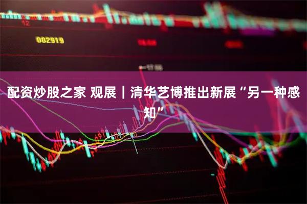配资炒股之家 观展｜清华艺博推出新展“另一种感知”